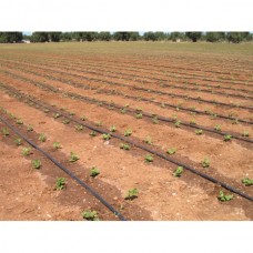 Крапельна трубка з компенсацією тиску Irritec Drip Line Multibar 33-100 (100м)