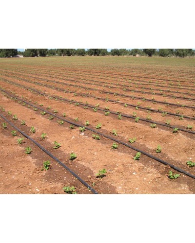 Крапельна трубка з компенсацією тиску Irritec Drip Line Multibar 33-100 (100м) Крапельна трубка з компенсацією тиску Irritec Drip Line Multibar 33-100 (100м)